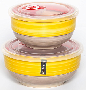 Набор салатников 2шт ELRINGTON АЭРОГРАФ Солнечное утро с крышками керамика 000000000001211164