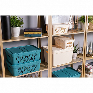 Ящик 38х27,6х22см 18л ECONOVA LUXE универсальный с крышкой светло-бежевый пластик 000000000001206128