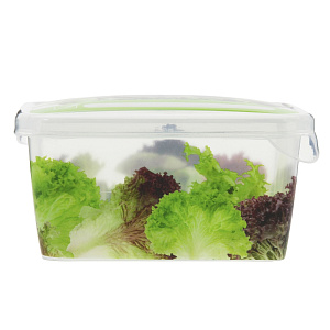 Емкость для хранения продуктов Браво Giaretti, 450мл 000000000001154002