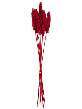 Сухоцветы 13x13x60см DE'NASTIA Люффа микс цветов 000000000001228194