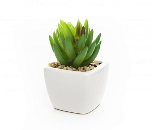 Цветок искусственный "Суккулент" 9смR010441 000000000001189306