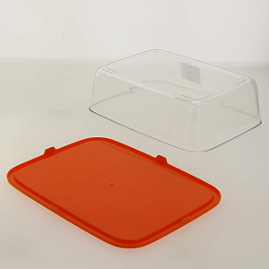 BASICS Контейнер прям.2л оранж крышк N3873 000000000001186972