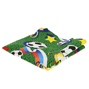 Фартук Чемпион, хлопок 000000000001169919