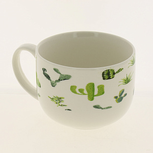 Бульонница Кактус, 480мл 000000000001185052