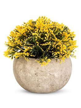 Цветок искусственный растение Хвойное 13см в горшке 000000000001218481