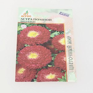 Семена Астра Помпон Вишневый 0,3г Китай 000000000001152792