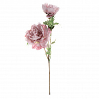 Цветок искусственный Пион 3 бутона 52см светло-розовый 000000000001218336