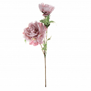 Цветок искусственный Пион 3 бутона 52см светло-розовый 000000000001218336