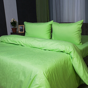 Пододеяльник DE'NASTIA 175х210см салатовый 100%Микрофибра C010325 000000000001109611