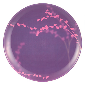 КАШИМА ПЕРПЛ Тарелка обеденная 25см LUMINARC G9324 000000000001074213