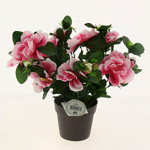 Цветок искусственный 000000000001162035