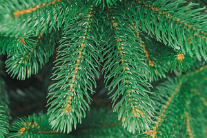 Ель искусственная 165см БИФОРЕС Премиум Микс темно-зеленый ПВХ 000000000001214439