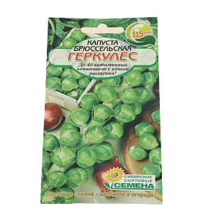 Семена Капуста Геркулес брюссельская 0,2г Р (ссс) ЛИДЕР ПРОДАЖ! СС013959 пакет 000000000001183719