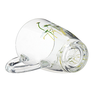 Кружка Камилла Pasabahce, 350мл 000000000001127753