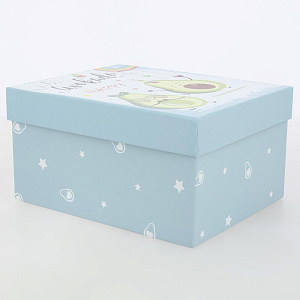 Коробка подарочная 21x17x11см РУТАУПАК AVOCADO blue 000000000001210677
