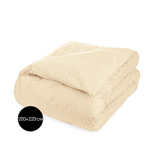 Пододеяльник 200х220см DE'NASTIA JQ меандр молочный сатин хлопок-100% 000000000001215629