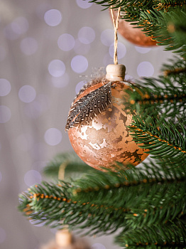 Набор новогодних шаров 3шт 8см с пером и деревянным крючком шампань пластик 000000000001209020