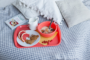 Поднос Plast Team, прямоугольный, коралловый, 365х255х25 (PT9214) 000000000001201534