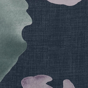 КПБ KLEO САТИН 100% хлопок Евро с нав. 50*70  дизайн EITEL/06 арт.01473306 000000000001190868