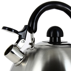 Чайник со свистком Коралл, 4л, нержавеющая сталь 000000000001108171