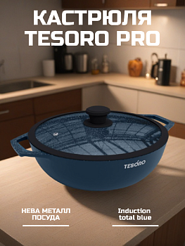Жаровня с крышкой 4л НЕВА МЕТАЛЛ ПОСУДА Tesoro Induction total blue алюминий 000000000001225718