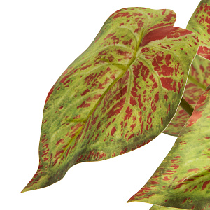 Цветок искусственный в кашпо Аглонема2 22см 000000000001222163