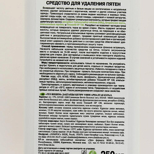 Средство для удаления пятен быстрое решение CLEAN HOME 250мл 490 000000000001201252