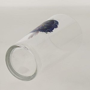 Стакан 200мл ND PLAY Серия Техно Тролли 2 стекло 000000000001197737