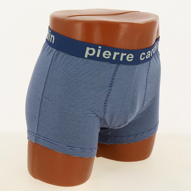 Боксеры мужские Pierre Cardin 00101, цветные, р.48-50 (состав:95%х/б, 5%эластан) 000000000001198266
