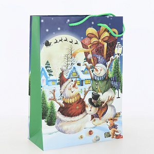 Сумка бумажная 22x31x10см ОПТИМА ламинированная 000000000001215517