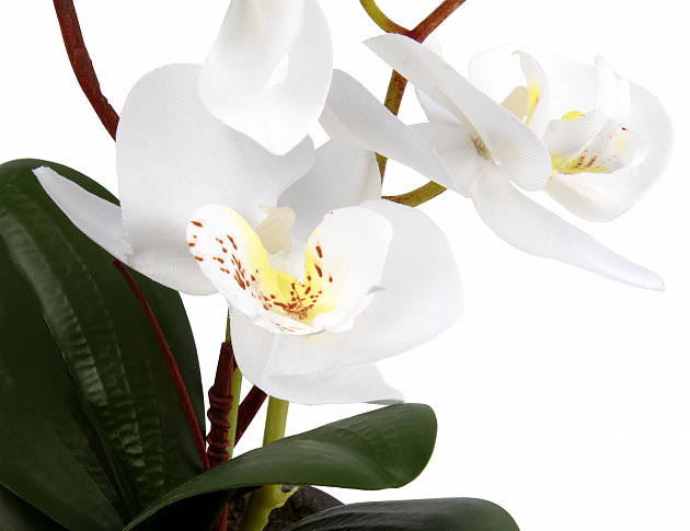 Цветок искуственный Орхидея в горшке 39см пластик 000000000001217055