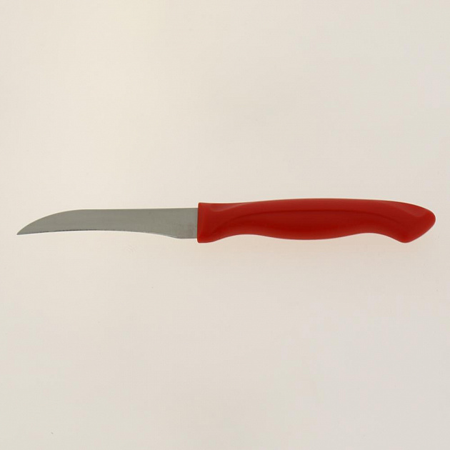 Нож кухонный д/овощей 18см, длина лезвия 8см.AN60-71.Изготовлен: Лезвие из коррозионностойкой (нержавеющей) стали, ручка из пластма 000000000001189989
