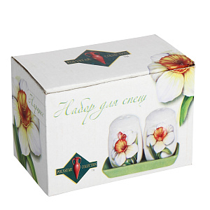 Набор для специй ЧУДОДОМ Нарцисс, фарфор, 2 предмета,  L2520300 000000000001060661