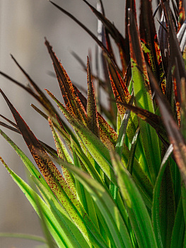 Цветок искусственный "Зелень" 24см R010801 000000000001197546