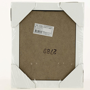 Репродукция 20/25 (1) мдф1 8С0555 000000000001162655