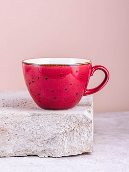 Чашка 320мл TULU PORSELEN DENIZ розовый фарфор 000000000001208237