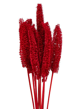 Сухоцветы 13x13x60см DE'NASTIA Люффа микс цветов 000000000001228194