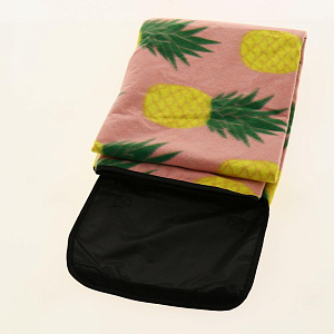 Коврик для пикника 120х150см  ИУАнанас полиэстер R020213 000000000001175921