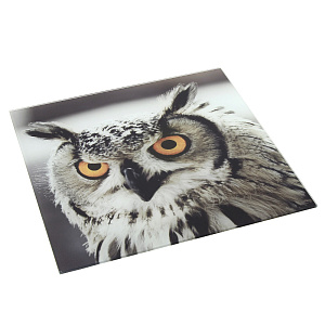 Картина Филин Domino, 30х30 см 000000000001168810