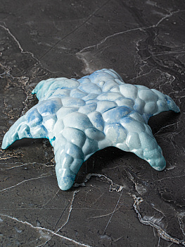 Блюдо сервировочное 25,5см EFE GLASS Морская звезда стекло 000000000001213509