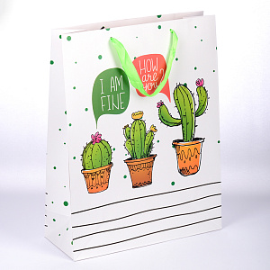 Сумка бумажная 45х33х10см ОПТИМА в ассортименте 000000000001210924