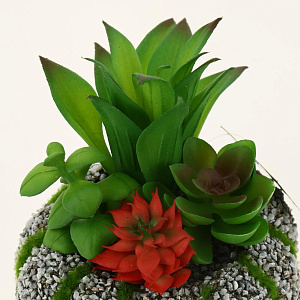 Цветок искусственный "Суккулент"11смR010443 000000000001189308