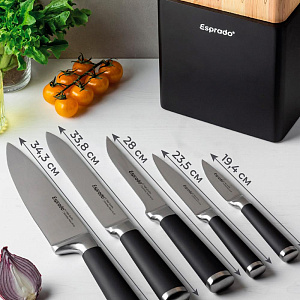 Набор кухонных ножей 5шт с подставкой ESPRADO Practico нержавеющая сталь Набор кухонных ножей 5шт с подставкой ESPRADO Practico нержавеющая сталь 000000000001211538