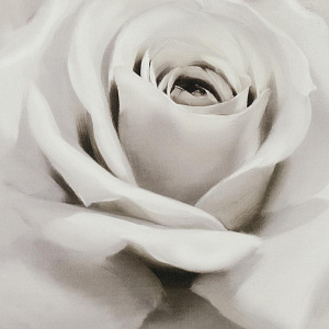 Репродукция 30х30см ДЕКАРТ д8С0098 000000000001162687