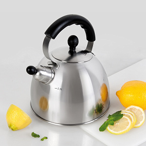 Чайник 2,5л TALLER Норман матовая полировка нержавеющая сталь 000000000001009375