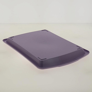 Поднос 26,5*38,5*2,5см пластик 75851 000000000001190556