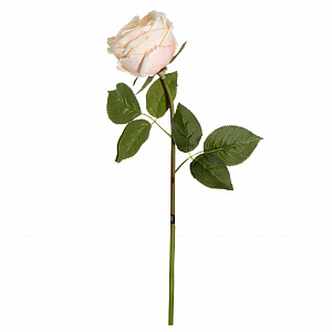 Цветок искусственный Пионовидная роза Real Touch 62см шампанское 000000000001218311
