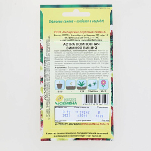 Семена Астра Зимняя вишня помпонная 0,2г (ссс) ЛИДЕР ПРОДАЖ! СС016241 пакет 000000000001194683