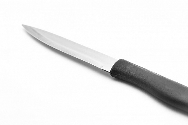 Нож для овощей НК-16 ПОСУДА ЦЕНТР, нержавеющая сталь/полипропилен, лезвие 9,8см/общая длина 18,8см, толщина металла 1мм, 5С41929 000000000001199131