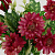 Цветок искусственный Хризантема 22см R010638 000000000001192379